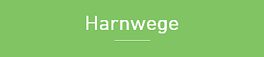 Harnwege