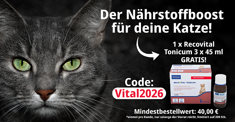 Tiergesundheit