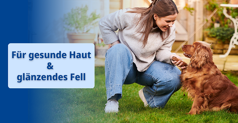 Haut, Fell & Hygiene