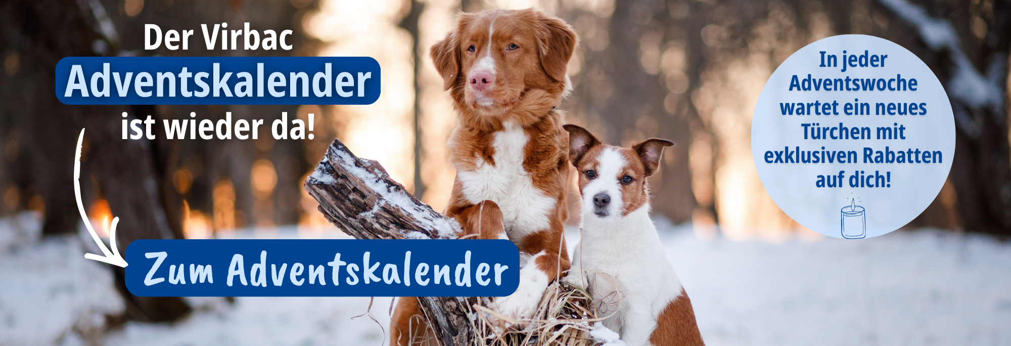 Banner mit Hund & Katze und dem Hinweis zum Adventskalender von Virbac