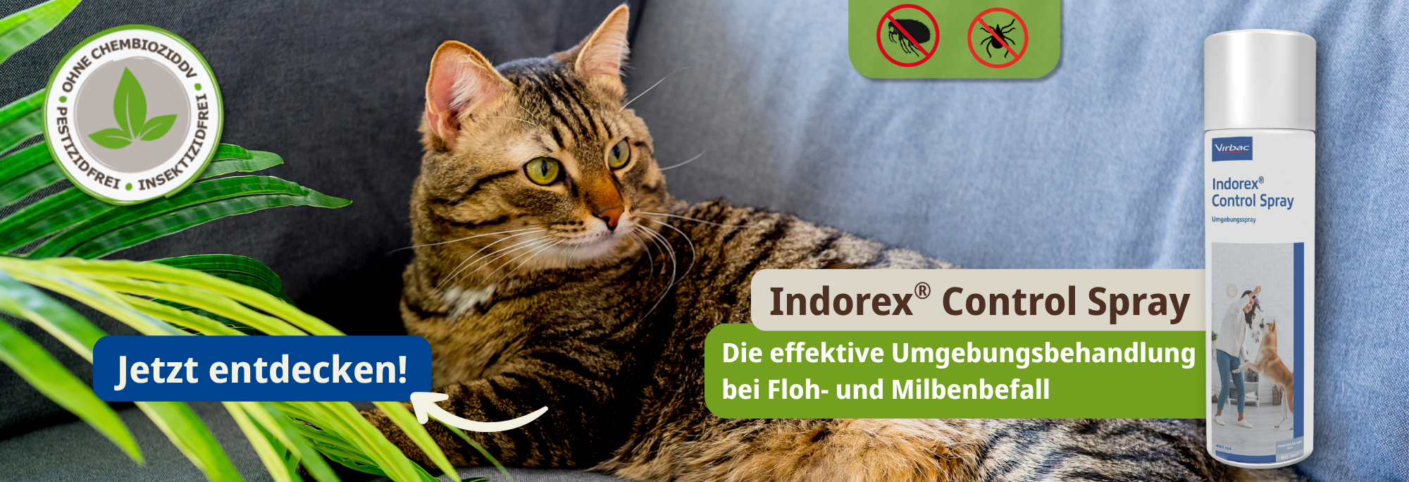 Bild von einer Katze mit einer Produktabbildung und dem Hinweis zu dem neuen Produkt Indorex Control Spray zur Umgebungsbehandlung bei Floh- und Milbenbefall