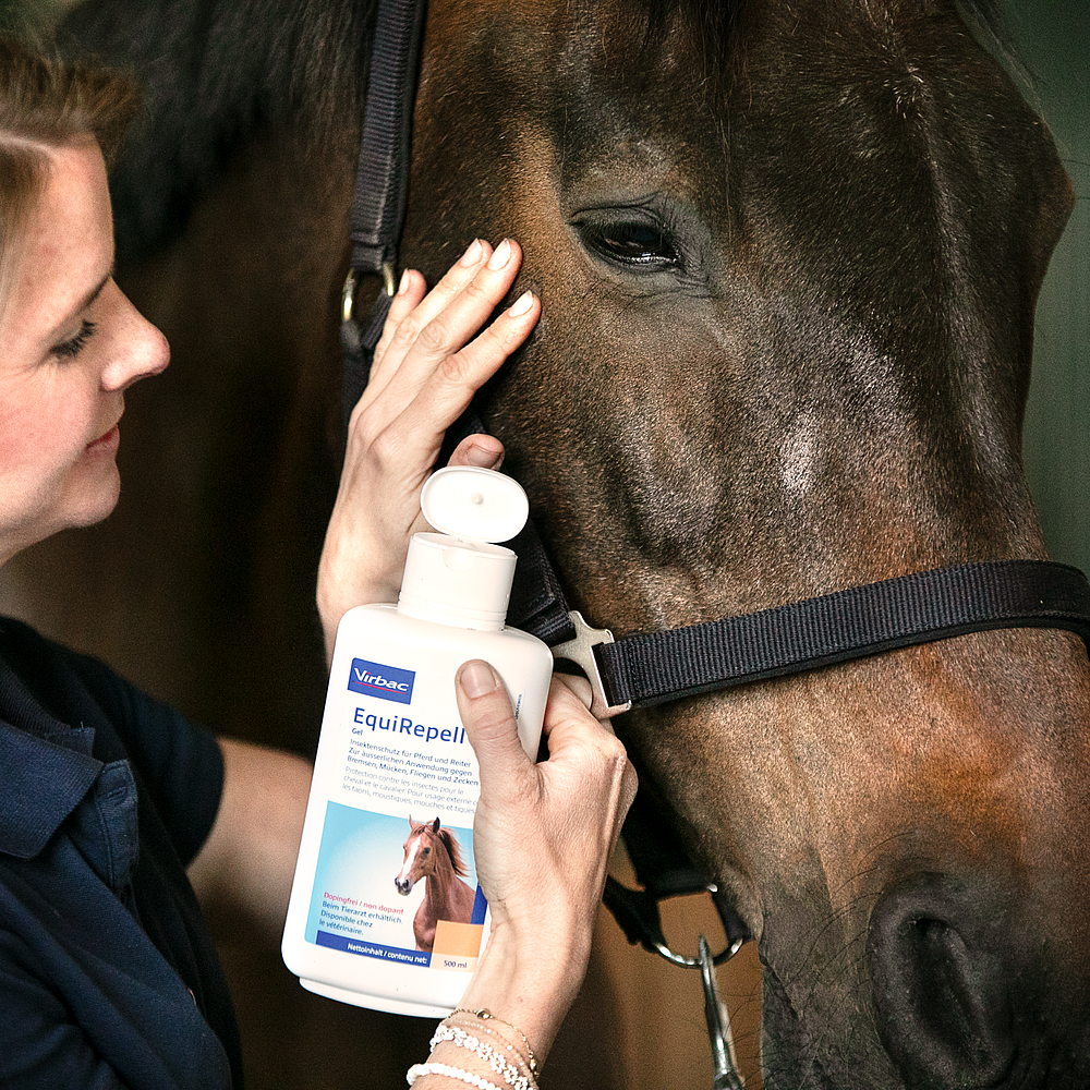 Set: Equimyl & EquiRepell Gel von Virbac Bild 3