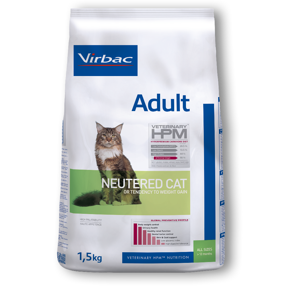Adult Neutered Cat - Katze
