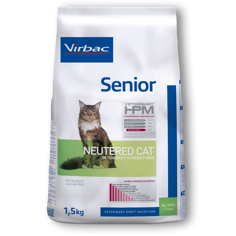 Senior Neutered Cat Katze