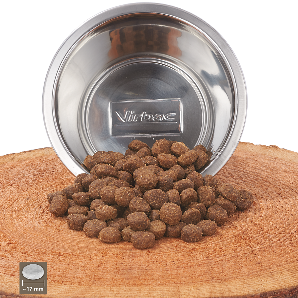 Adult Large & Medium Dog von Virbac Bild 4