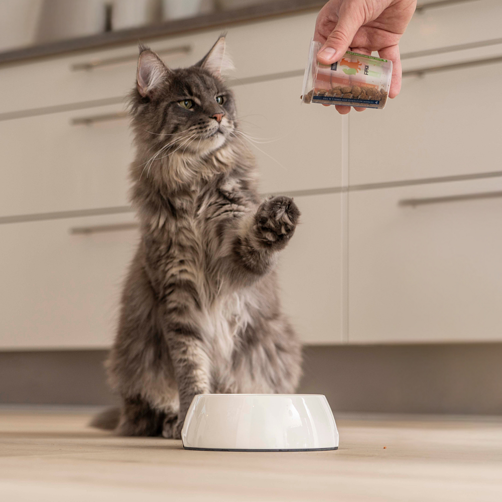 Adult Neutered Cat  von Virbac Bild 5
