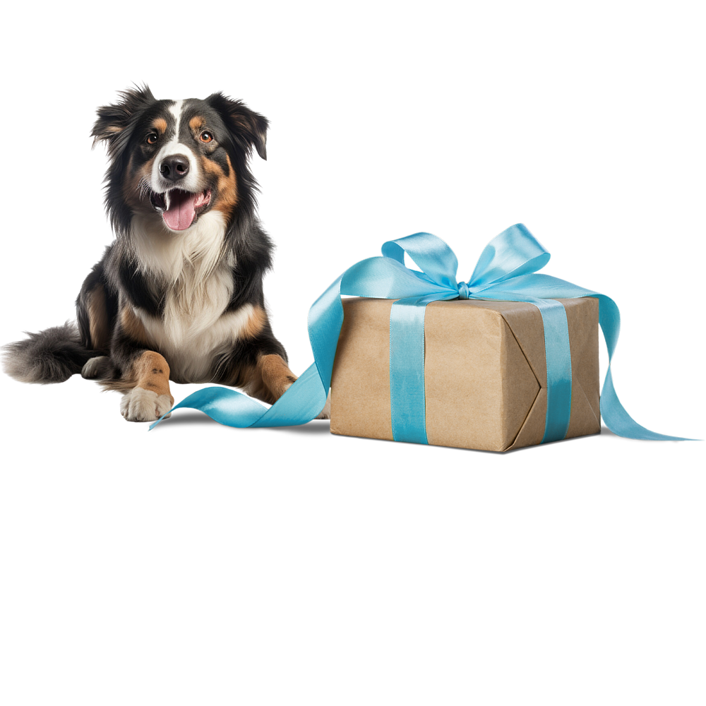 Geburtstagsgeschenk Hund von Virbac