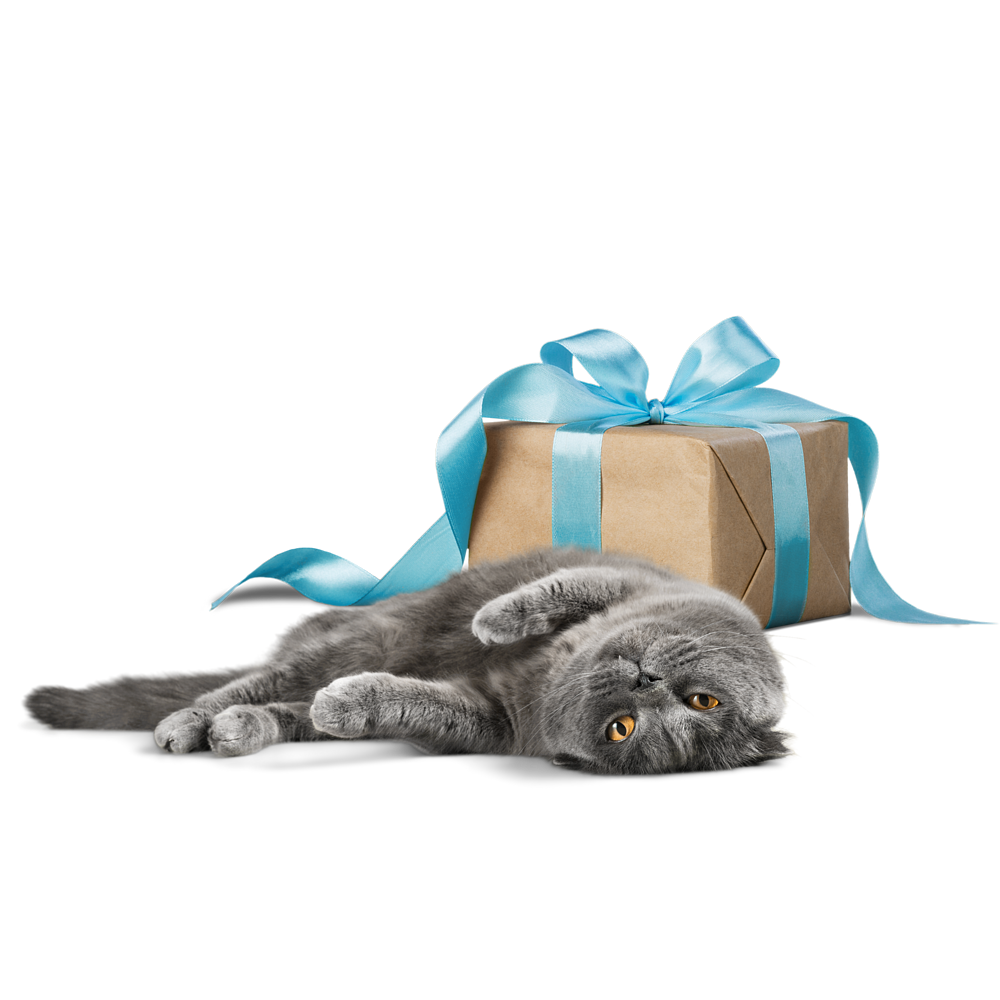 Geburtstagsgeschenk Katze von Virbac