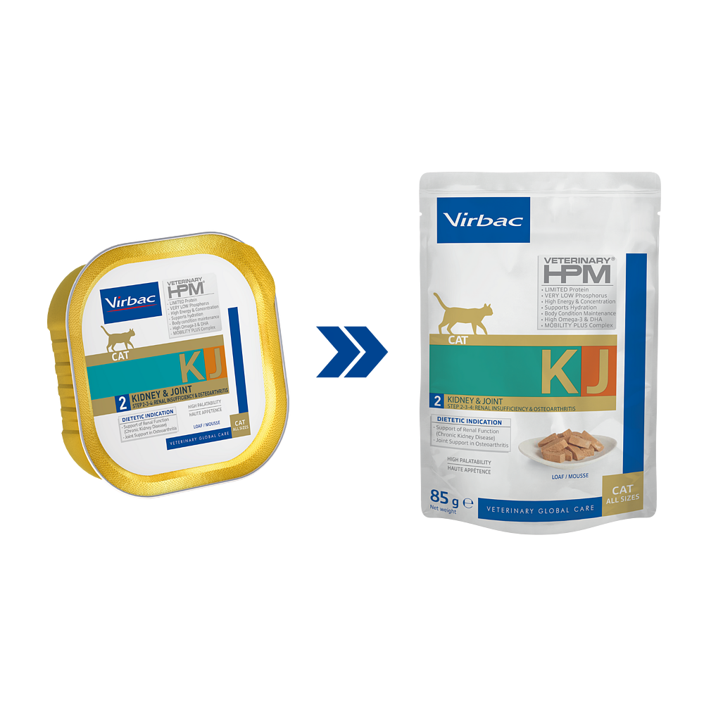Cat Kidney & Joint (Nassfutter) von Virbac
