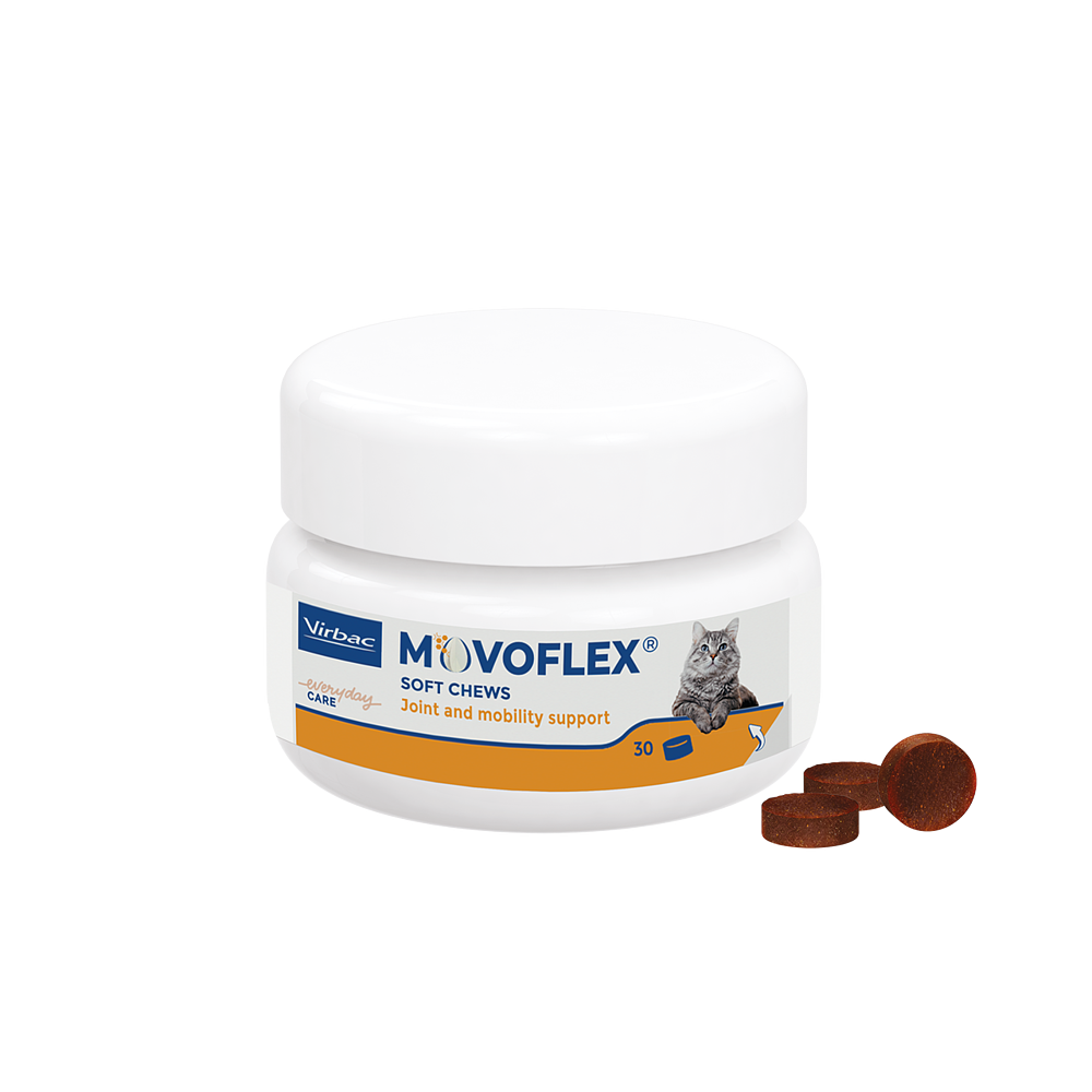 Movoflex Katze  von Virbac