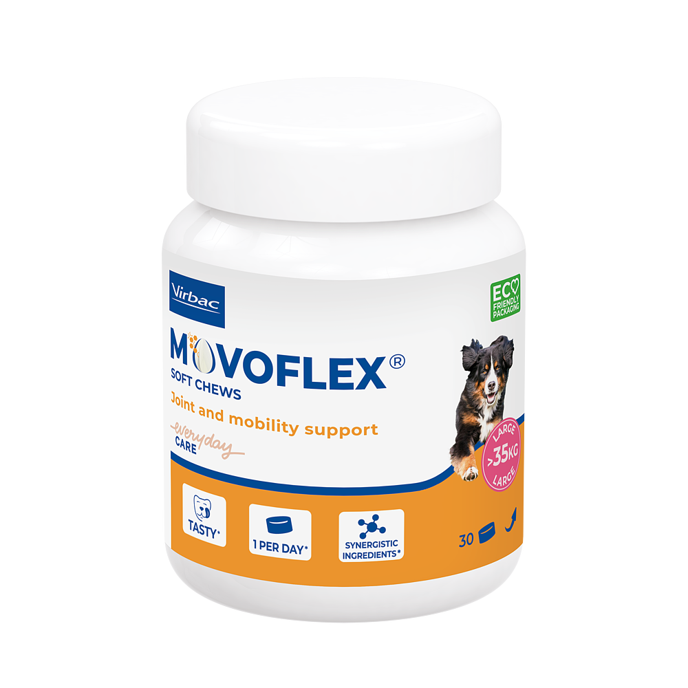 Movoflex L von Virbac