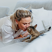 Zenifel Spray von Virbac Bild 3