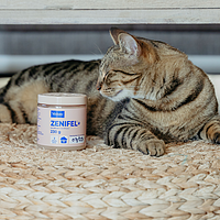 Zenifel Gel von Virbac Bild 3