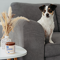 Zenidog Gel von Virbac Bild 3