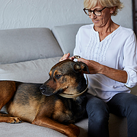 Zenidog Halsband M-L von Virbac Bild 3