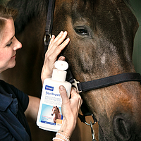 Set: Equimyl & EquiRepell Gel von Virbac Bild 3