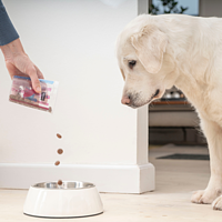 Adult Neutered Dog Large & Medium von Virbac Bild 5