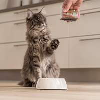 Adult Neutered Cat  von Virbac Bild 5