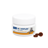 Movoflex Katze  von Virbac