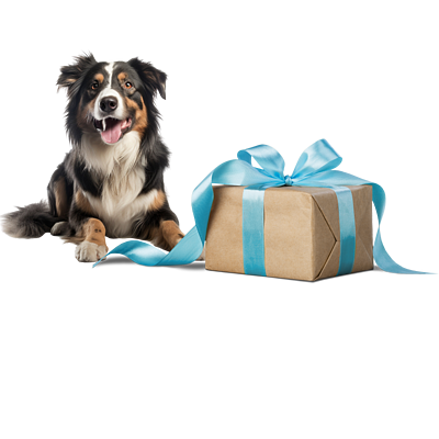 Geburtstagsgeschenk Hund von Virbac