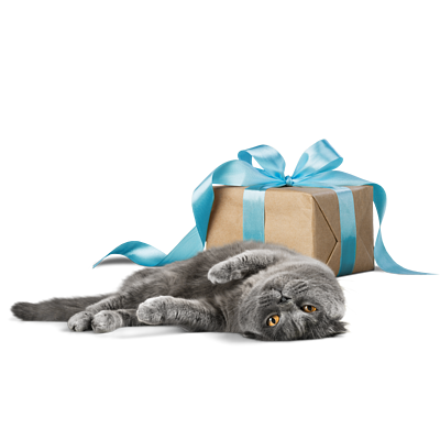 Geburtstagsgeschenk Katze von Virbac