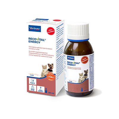 Recovital Energy Hund/Katze von Virbac