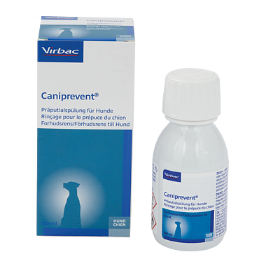Caniprevent Präputialspülung von Virbac