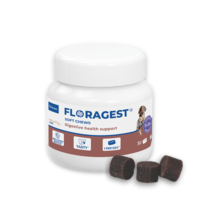 Floragest M von Virbac