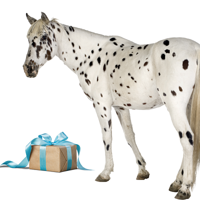 Geburtstagsgeschenk Pferd von Virbac