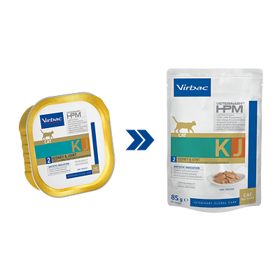 Cat Kidney & Joint (Nassfutter) von Virbac
