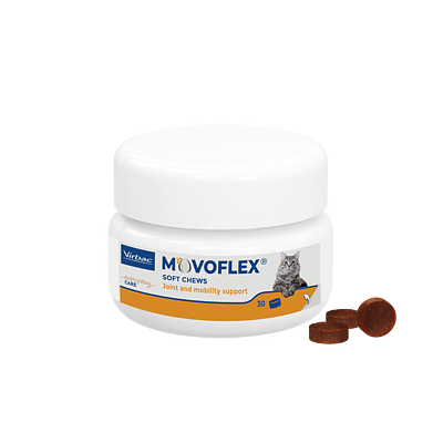 Movoflex Katze  von Virbac