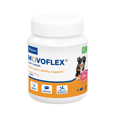Movoflex L von Virbac
